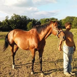 Meet your Posher, Vandora